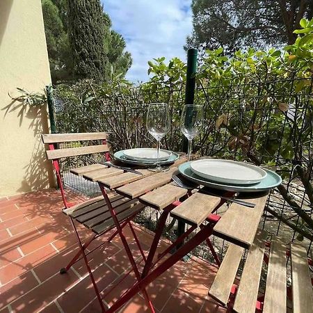 Charmant Studio Climatise A 50 M De La Plage Διαμέρισμα Argelès-sur-Mer Εξωτερικό φωτογραφία